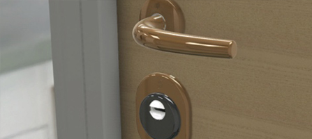 Protector e coordinati